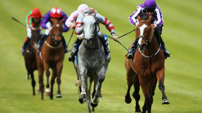 Leading Light goes for gold in Ascot showpiece