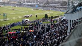 Bumper crowds  expected at Irish tracks for quality Christmas race cards