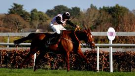 Journey With Me aims to book Cheltenham ticket during Saturday Naas run