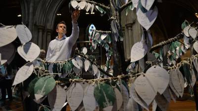 St Patrick’s Cathedral  memorial tree  evokes trenches of first World War