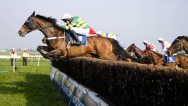 Irish Grand National to put  reserve system in place