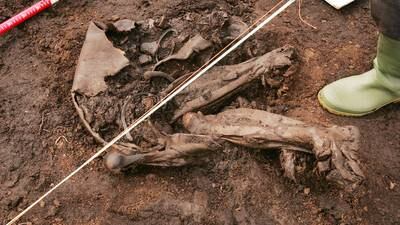 Irish bog bodies ‘may have been victims of climate change’