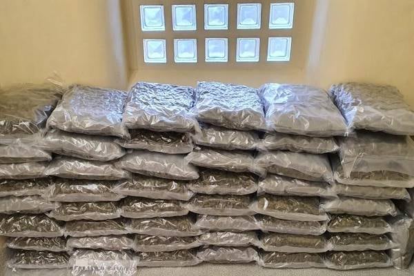 Cannabis: Gardaí seize estimated €1 million worth of suspected drug in Ashbourne, Meath