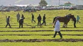 Strong rise in profits at National Ploughing Championships