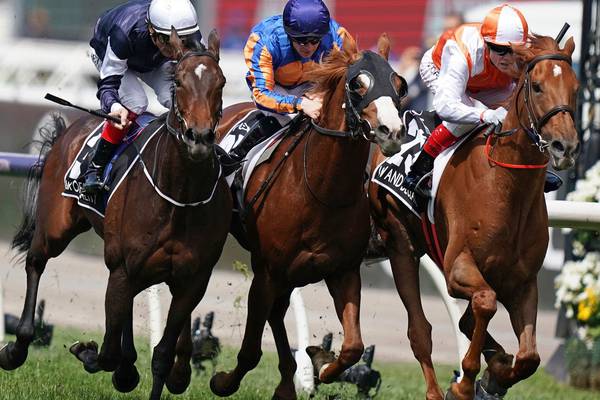 Plusvital shows form in Melbourne Cup win