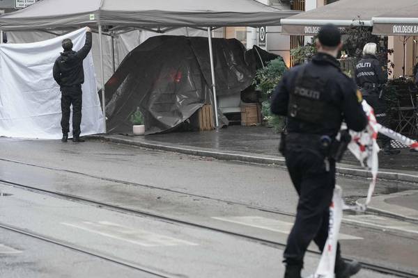 Man reportedly armed with knife shot by police in Norway