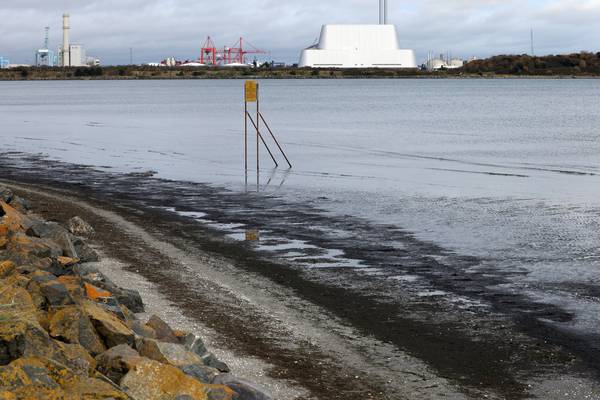 Sandymount Strand stench caused by algae not sewage, Irish Water says