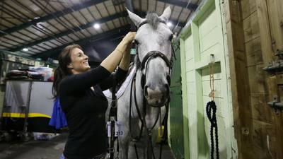 Dublin Horse Show opening day to draw crowds to RDS