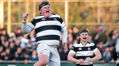Leinster Schools Senior Cup: Belvedere complete rollercoaster ride to final