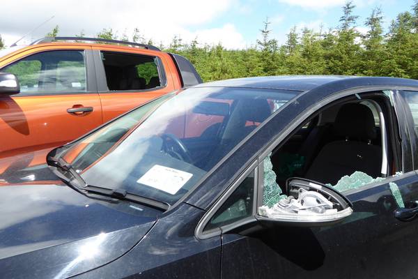 Wicklow car break-ins: Canadian appeals for return of marriage documents