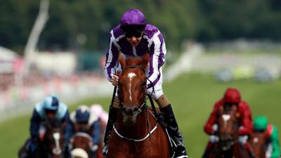 Curragh have delicate balancing act in run-up to Irish Derby