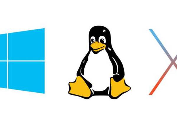 ‘Goodbye Microsoft, hello Linux’