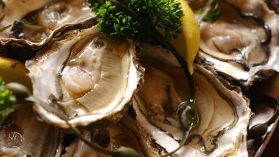 Hong Kong bans importation of raw oysters from Donegal