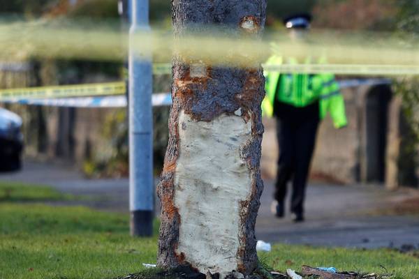 Five die, including three boys, as stolen car hits tree in Leeds