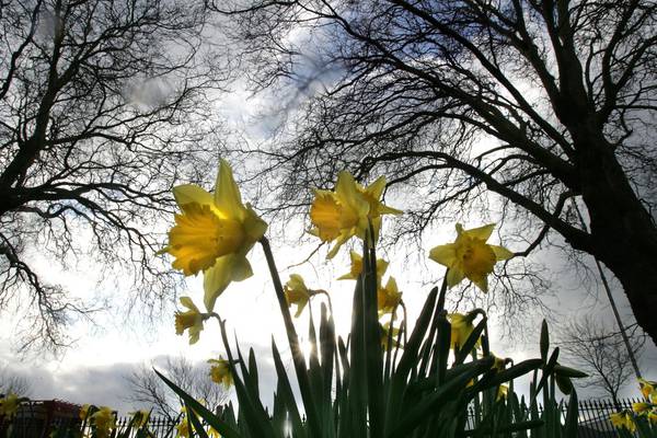 This week’s weather will be mild and windy with showers