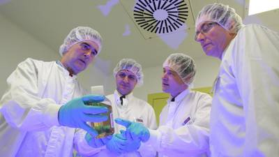 Scientists find  new way to get stem cells