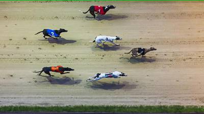 Greyhounds could be on last lap at Harold’s Cross racetrack