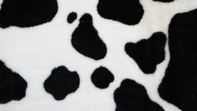 Police investigate  robbery by armed woman in ‘cow print onesie’