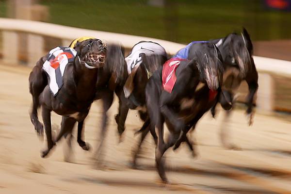 Sponsors ‘horrified’ by RTÉ programme on greyhound racing