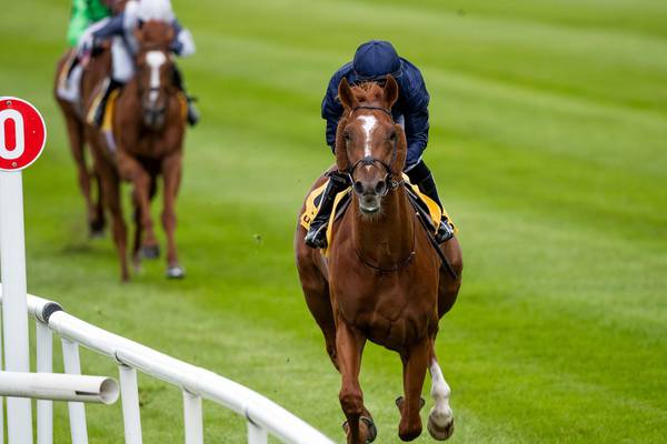 Aidan O’Brien’s Serpentine could be supplemented for the Arc