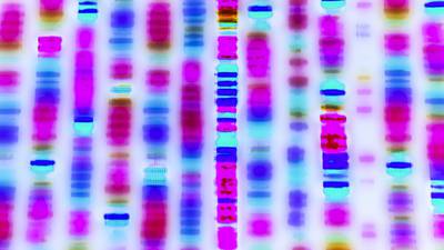 Irish genetic data collected by private firm to be shared with health service