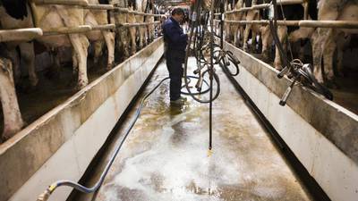 Ireland on course for €80m fine for exceeding milk quota