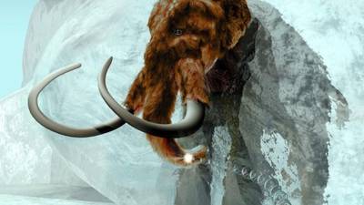 Woolly mammoth was still alive in era of Newgrange, says study