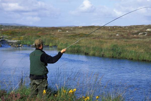 Plea to anglers to stop fishing due to high temperatures