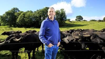 From Cork buffalo to Meath mustard - meet the makers feeding Ireland