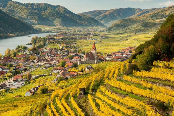 Austrian wine: A little bit of everything