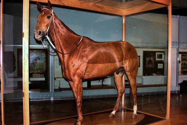 Kingdoms for a horse – Frank McNally on Phar Lap and the rules of equine nationalism