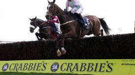 Don Cossack the favourite for clash of big three at Punchestown