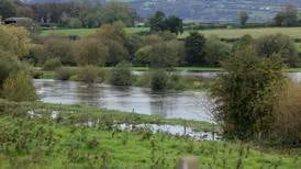 Nearly half of all rivers on island of Ireland below ‘good ecological health standards’
