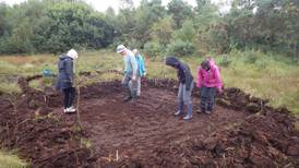 A Dutch expert: ‘Irish bogs are extraordinarily valuable’