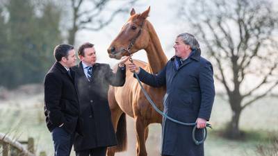 Irish horse cheats death through the appliance of science
