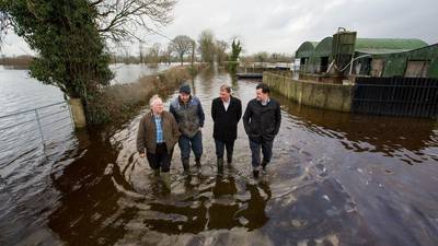 Flooding crisis: ‘Birds, frogs, and fish getting priority’