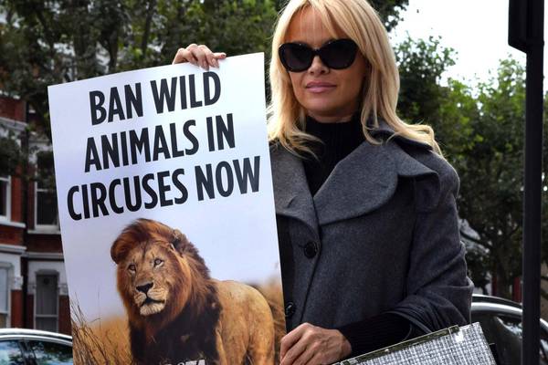 Pamela Anderson calls on Taoiseach to ban circuses with wild animals