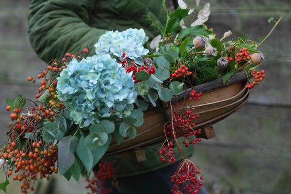 Take a leaf from this new crop of gardening books