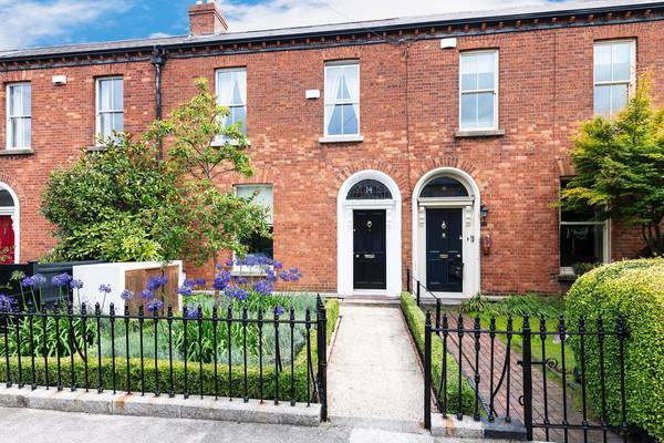 City garden delight on blooming Ranelagh strip for €1.15m