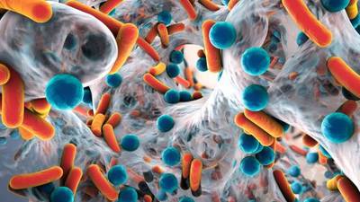 Four hospitals fail to control spread of superbug