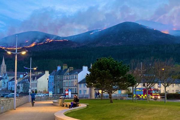 Mourne Mountains: Huge gorse fire causing ‘horrifying’ damage