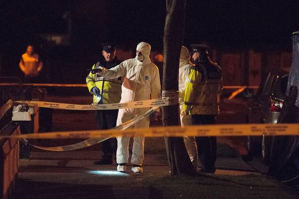 Victim’s partner was heard screaming after  Dublin shooting