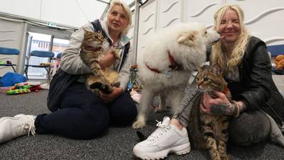 Aid convoy functions as Noah’s Ark for pets