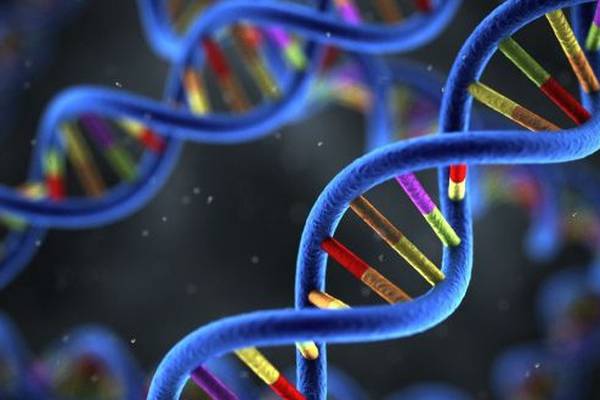 Genuity says Irish DNA database will still be managed locally after sale