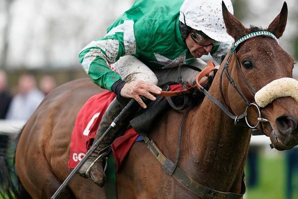 Owner unconcerned about Presenting Percy not running over fences in a year