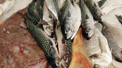 Icelandic ambassador appeals for talks over mackerel row