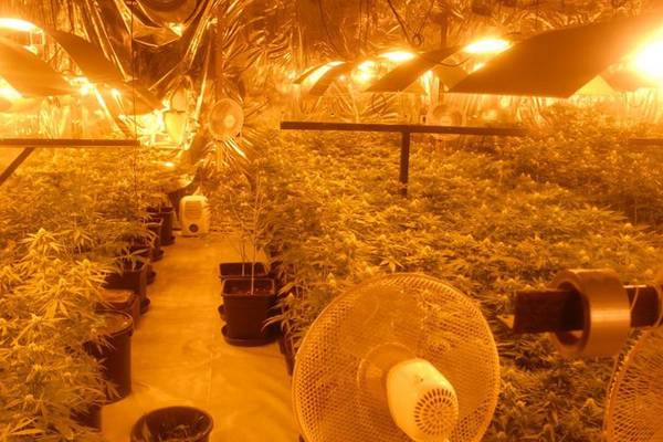 Two men charged after €360,000 cannabis seizure in Longford