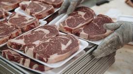 Meat plants deemed unsafe due to coronavirus will be shut – Creed
