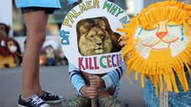 Why we  mourn Cecil the lion, but ignore other  at-risk species