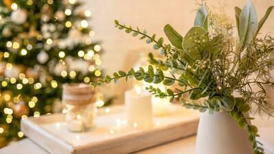Your gardening questions answered: What plants can I use for home-made Christmas decorations?